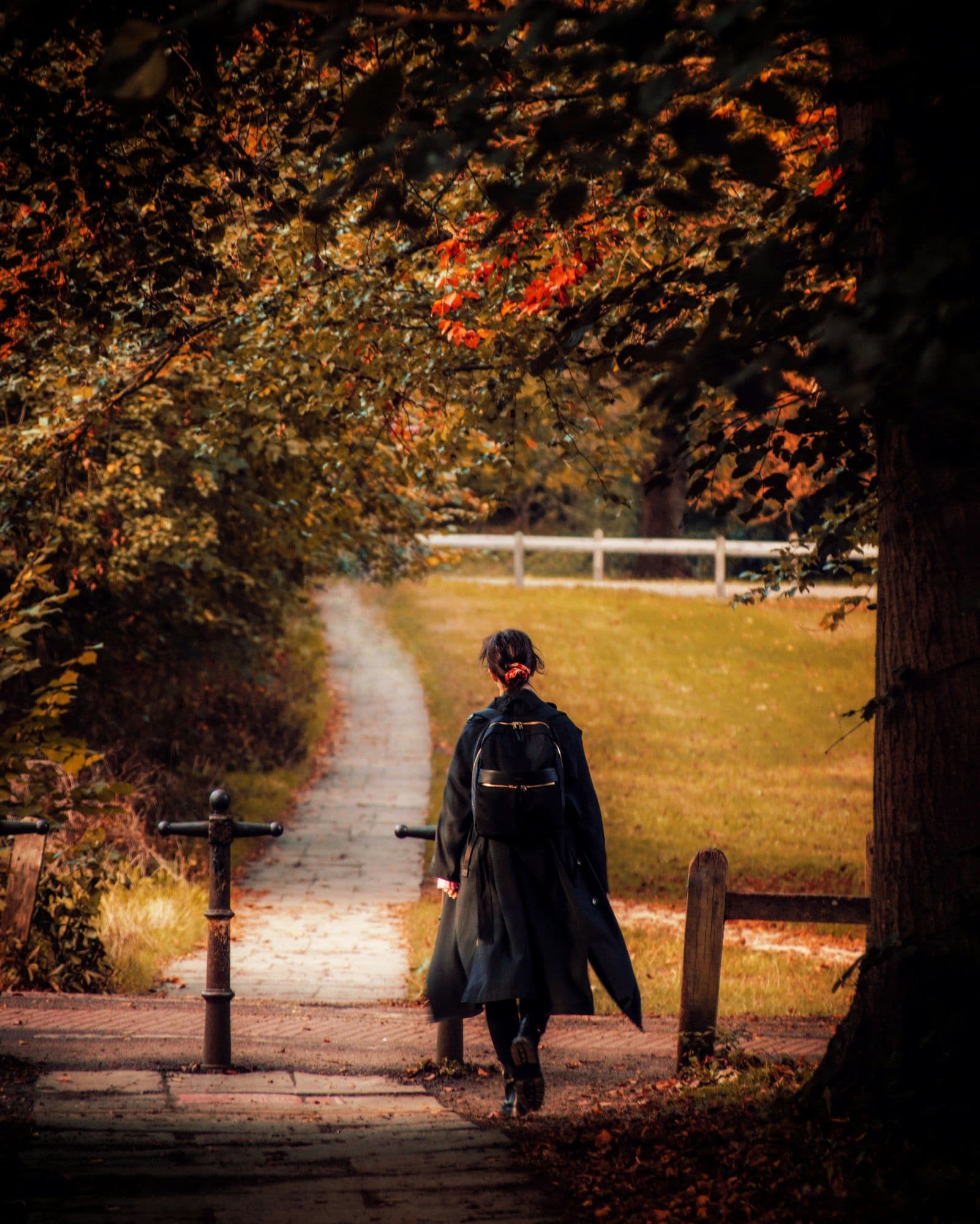 A back view of a woman walking alone down a tree-lined park path in autumn, surrounded by golden foliage